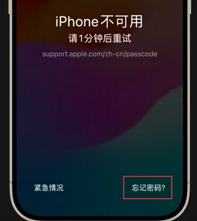 青县苹果手机密码维修分享iPhone忘记了刚设置的密码 